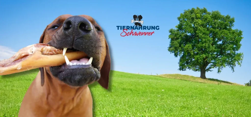 Rinderkopfhaut für Hunde