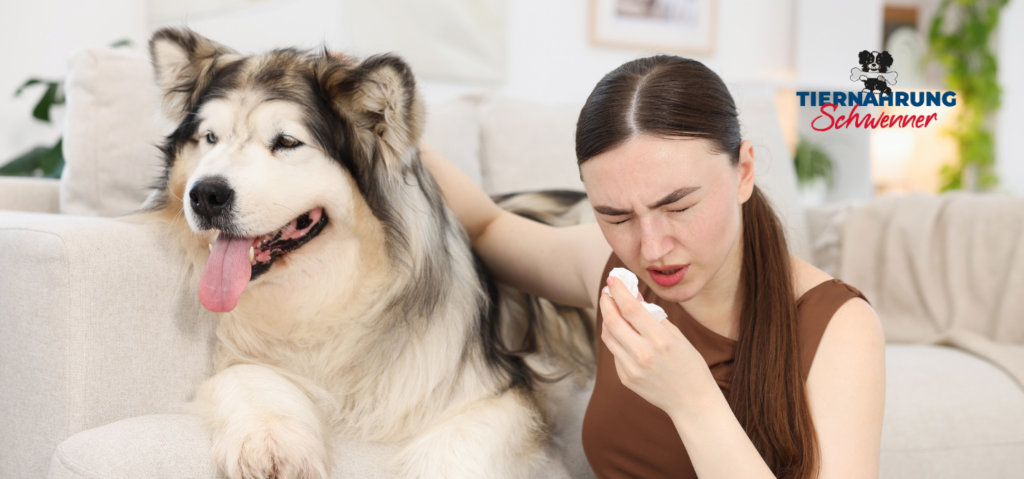 Mundgeruch beim Hund