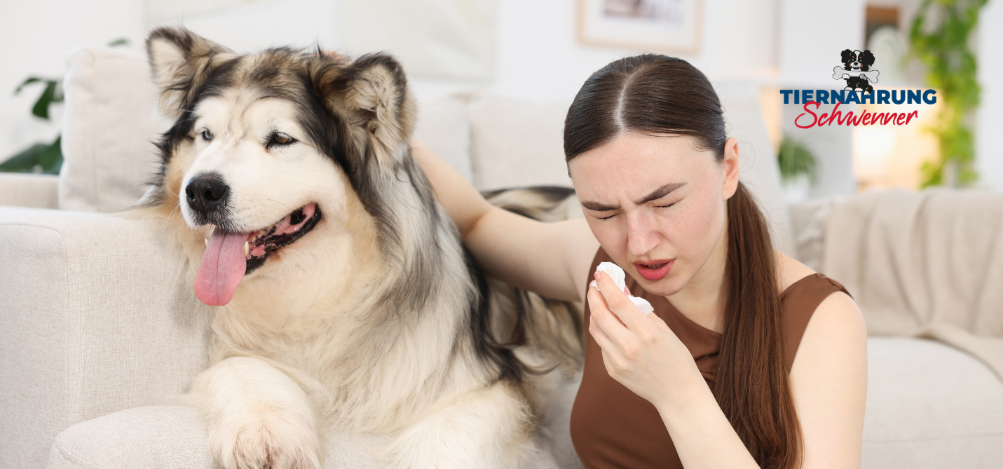 Mundgeruch beim Hund