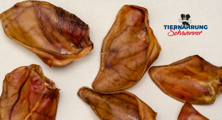 Schweineohren für Hunde