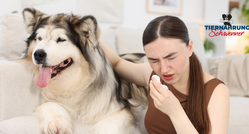 Mundgeruch beim Hund