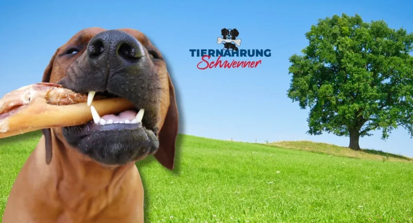 Rinderkopfhaut für Hunde