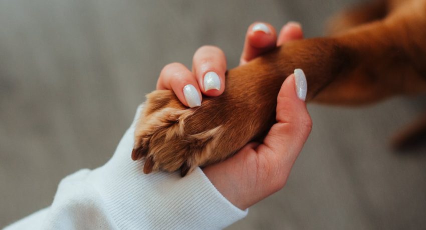 Foto von Ivan Babydov: https://www.pexels.com/de-de/foto/liebe-love-frau-hand-7788657/
