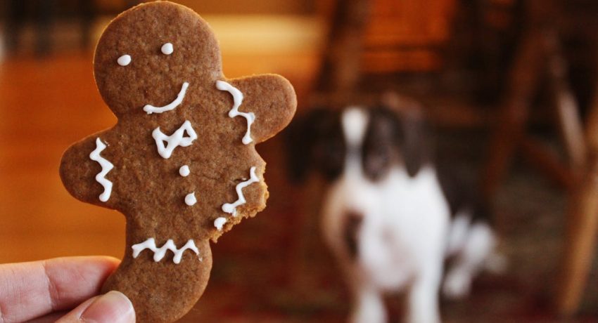 Foto von Noelle Otto: https://www.pexels.com/de-de/foto/nahaufnahme-fotografie-von-lebkuchen-906054/