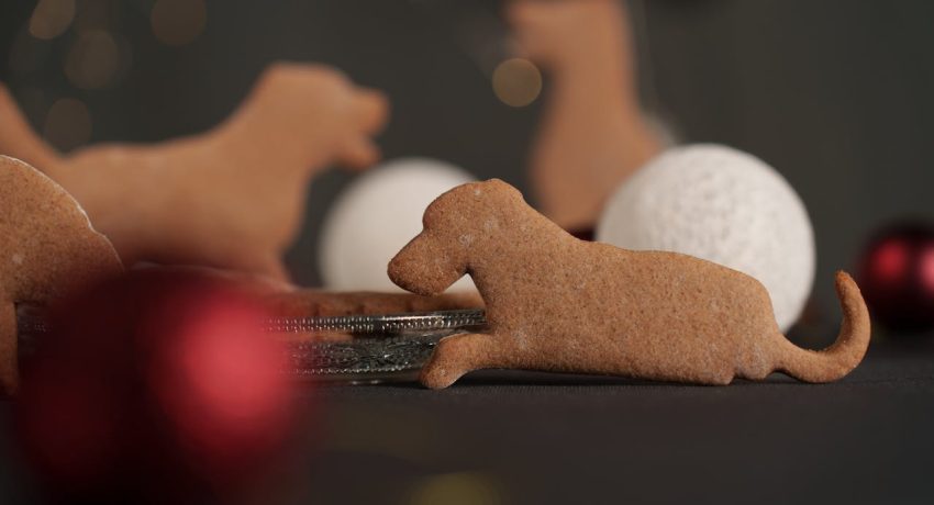 Foto von Tibor Szabo: https://www.pexels.com/de-de/foto/lebensmittel-essen-suss-kekse-19332151/