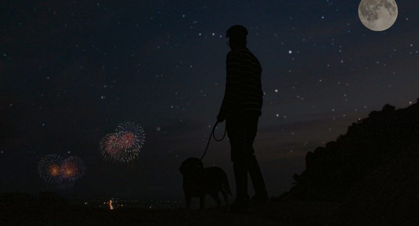 Foto von Tharun Kumar auf Unsplash